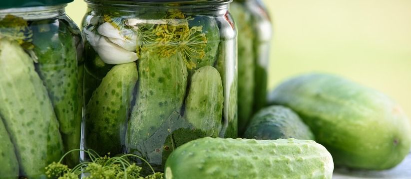 Не закуска, а искушение: маринованные огурцы на зиму всего за 20 минут — хрустящие и сладкие