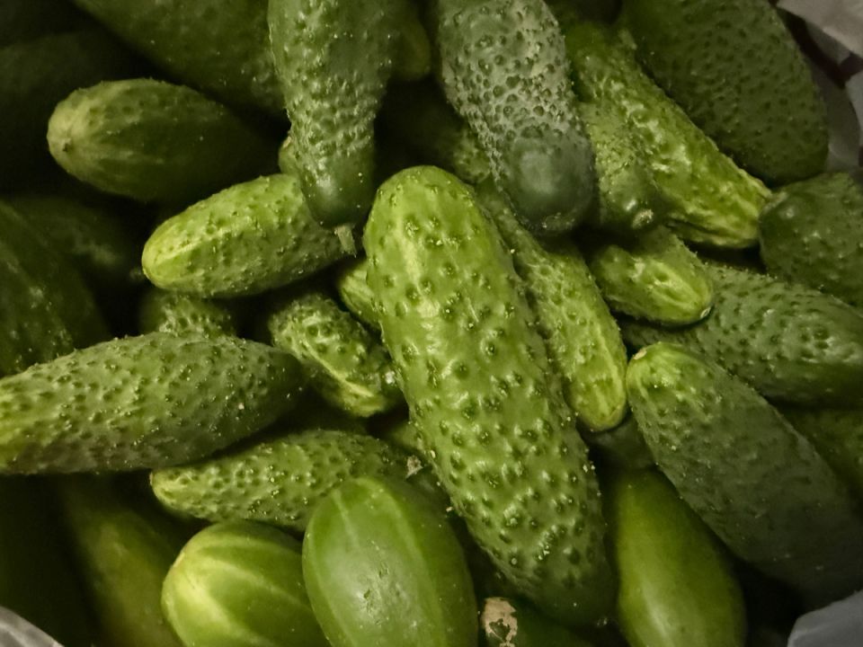        :    
