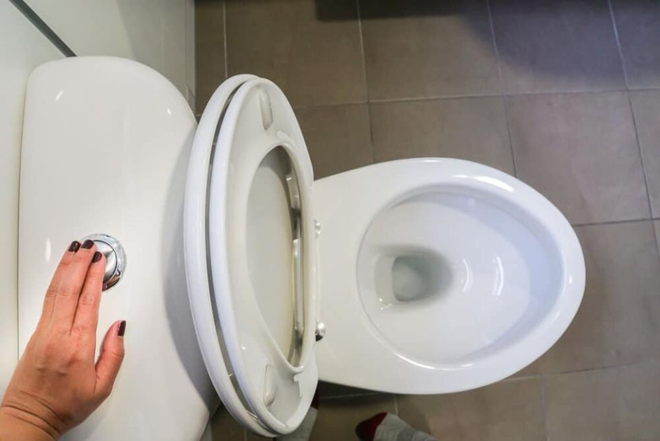 10 ,     :    