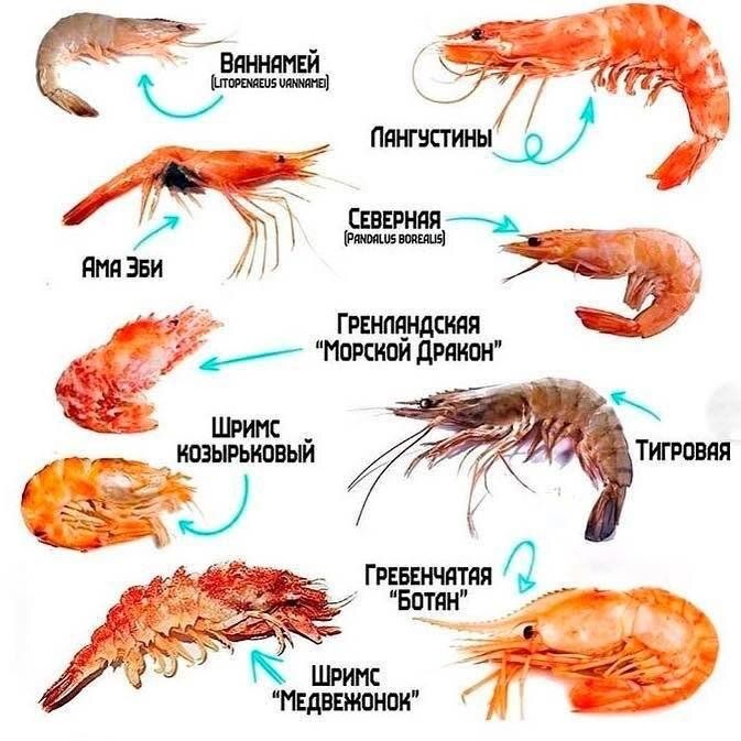 :      