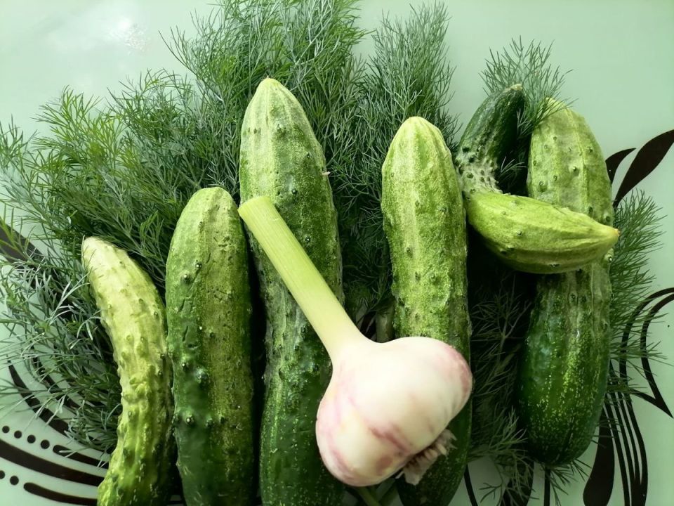    :        