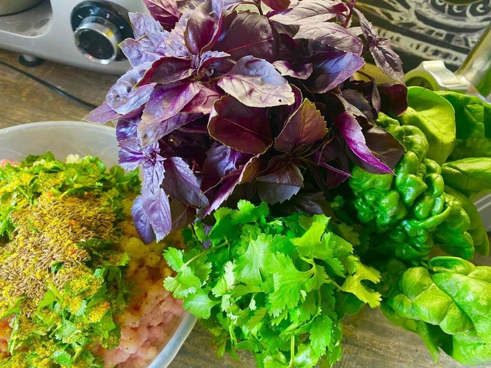 Как сохранить ароматный базилик на зиму: два простых способа