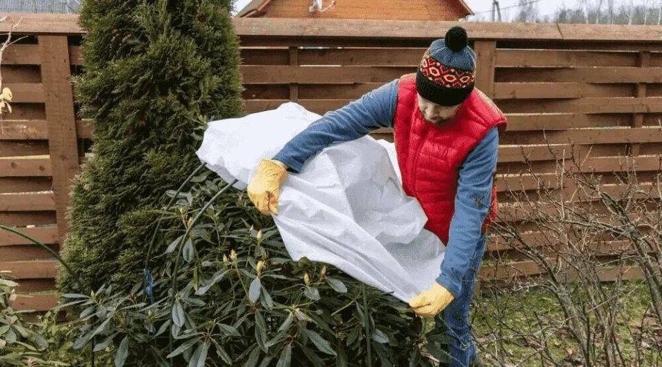 Как сохранить сад в целости: эффективные методы борьбы с весенними заморозками