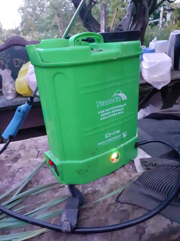 Секреты осенней обработки сада: что действительно работает?