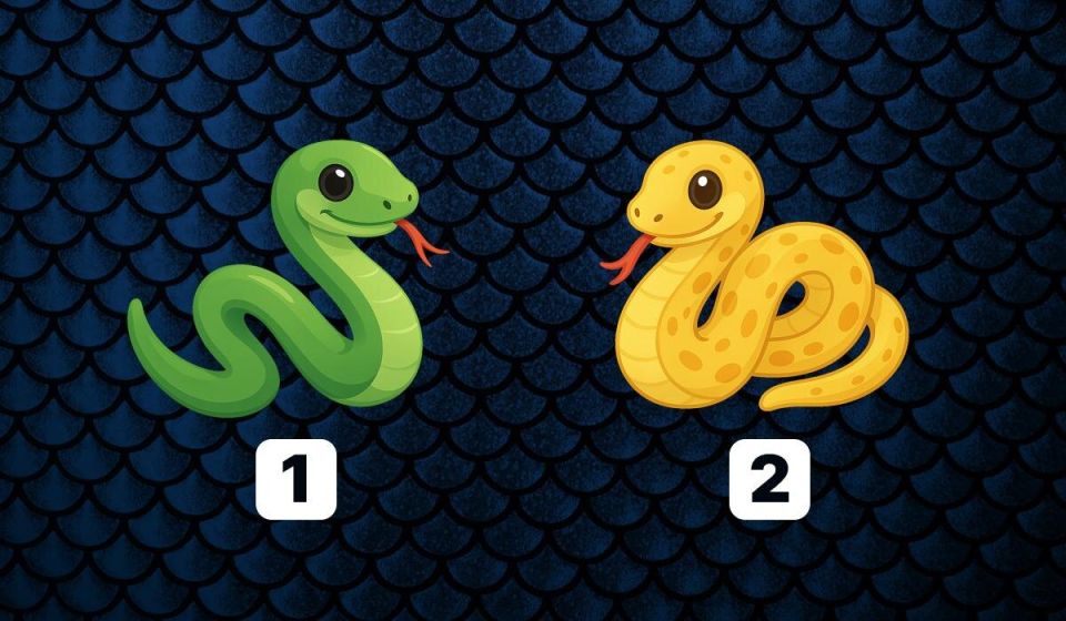 Откройте для себя правду о мнении окружающих