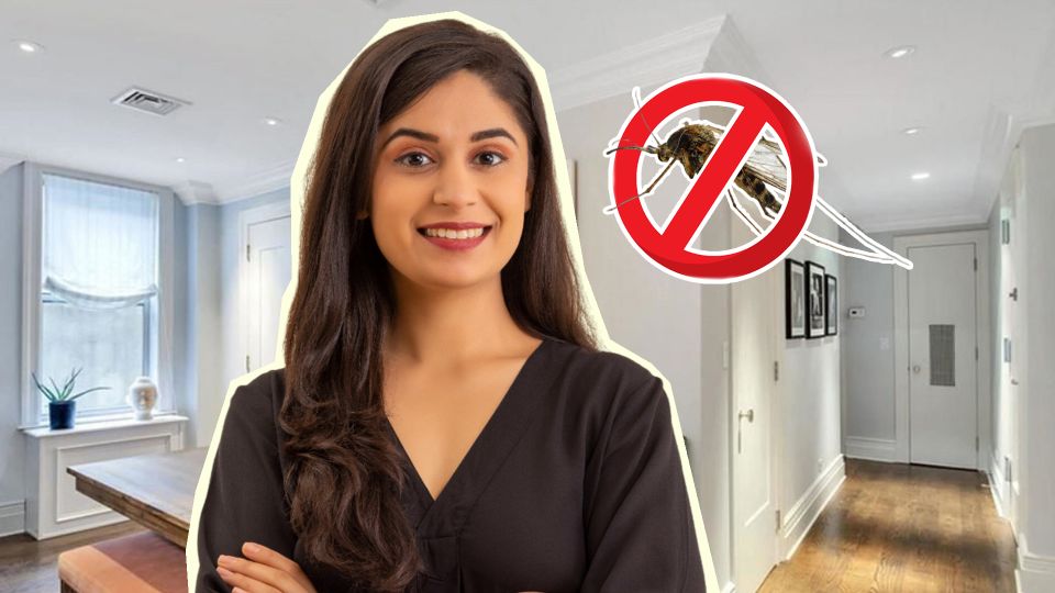 Мимо не пролетит ни один комар: вот как избавиться от насекомых