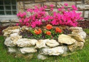 Создание розария: искусство и наука