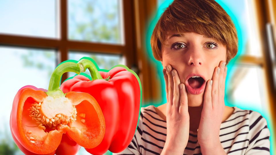 Перцы на подоконнике взойдут даже зимой: вот как выращивают овощ дачники