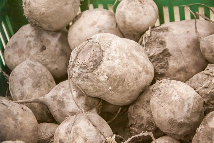 Кому полезно есть свеклу: возьмите на заметку наш рецепт