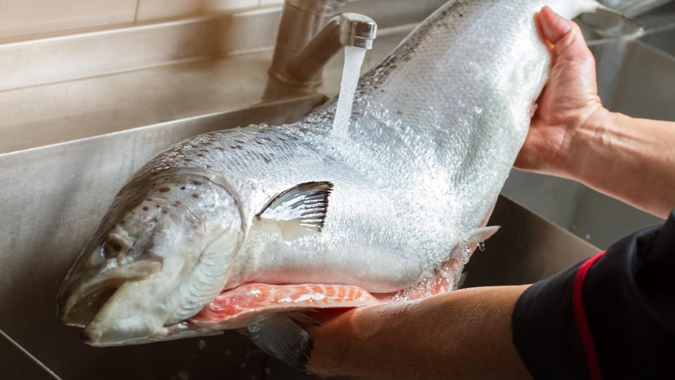 ���� ��� �� ���� ���� ����� ��������: ��������������� �������� ����� � ������� �������