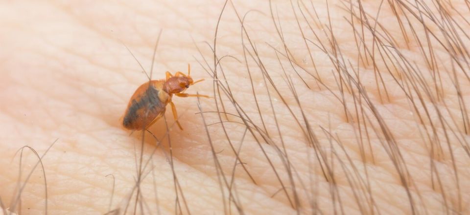 ���������� �����: ��� �������� ����������� ������������