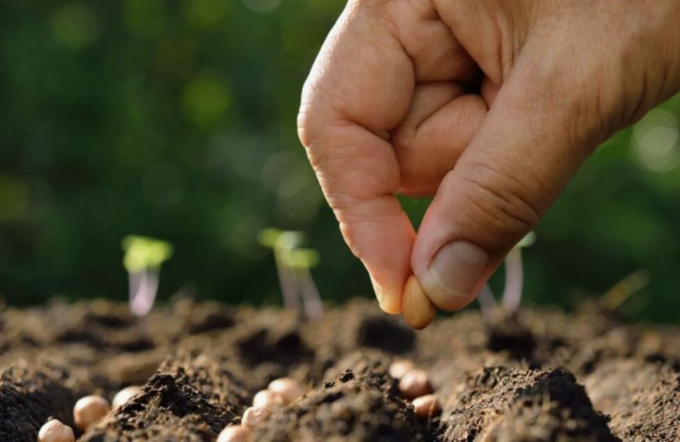 ������������� � �������� �������: ������ �������� ��� ������ � ������