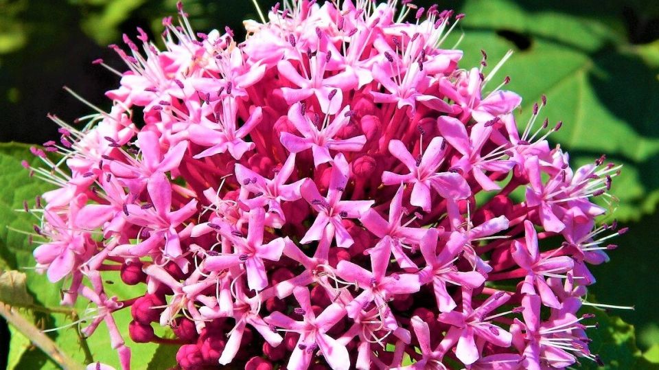 ������������ �����: ������������ ������ ��� ������ ����, ������� ������ �� �������