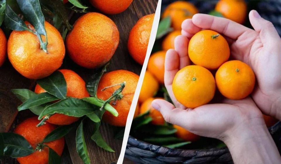 ��� ���������� ������ ��������� � ������� ������ ����� �� 15 �����