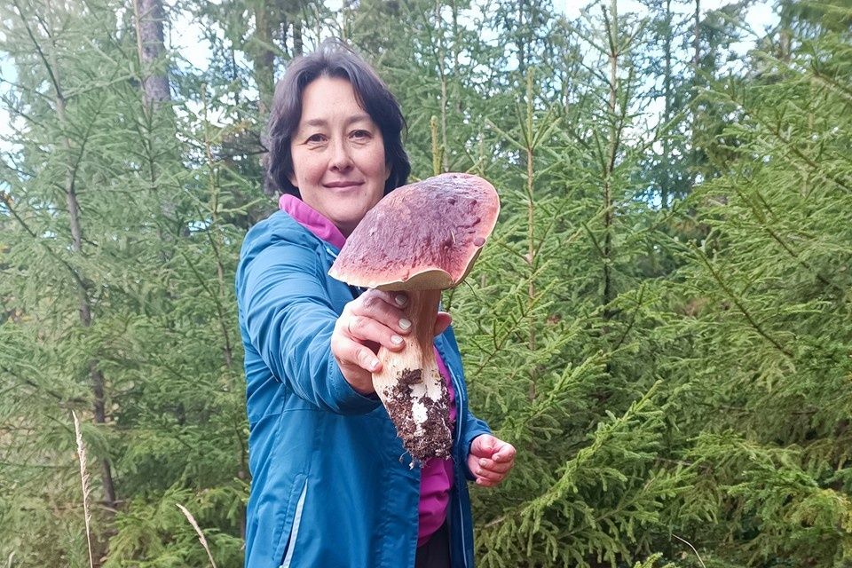 ����� ����� �����: ��� ������� ����� � ���������� �� ���� ������� ������