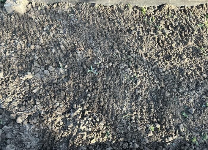 ��� ������, ����� ����� � ��� �� �������: ������ ������ ��� ��������� ����������