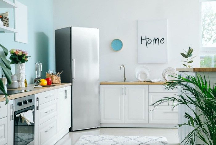 Неожиданное применение вазелина: как спасить холодильник от плесени