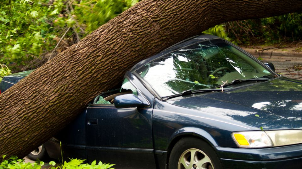 Неожиданный инцидент: столб разрушил мечты автомобилиста