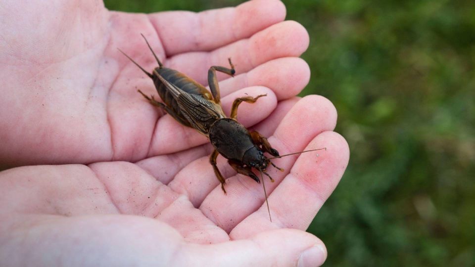 �������� ������ �� ���������� � �������: ���� ������ ������� ���������� �� ���������