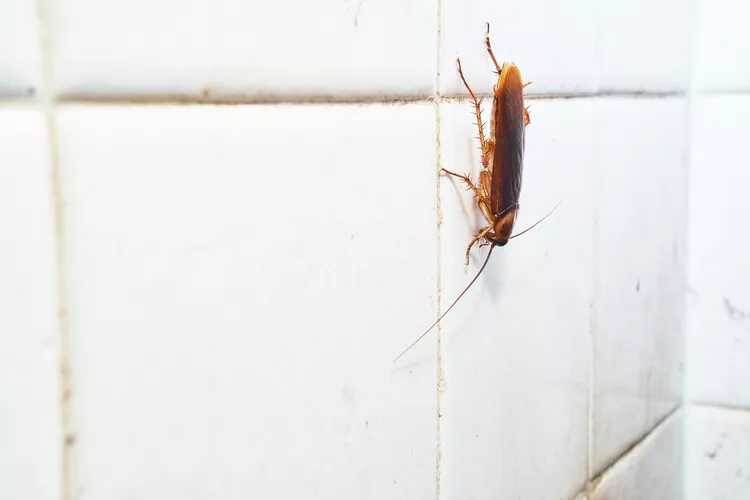 ����������� ���������: ��� �������� ���� ��� �� ��������� ������?