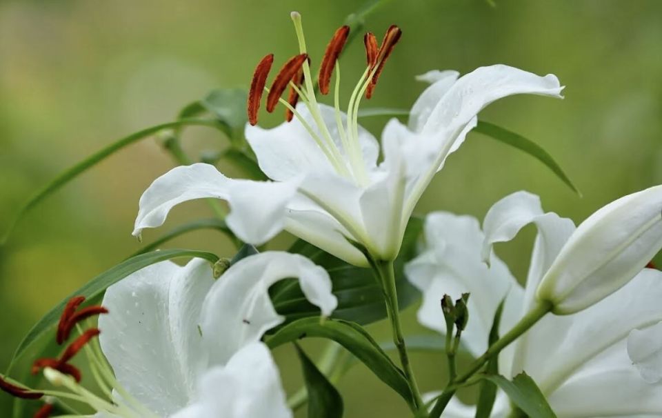 ��� ��������� ������������� �����: ������� ��� �������� �������� �� ��������� ���