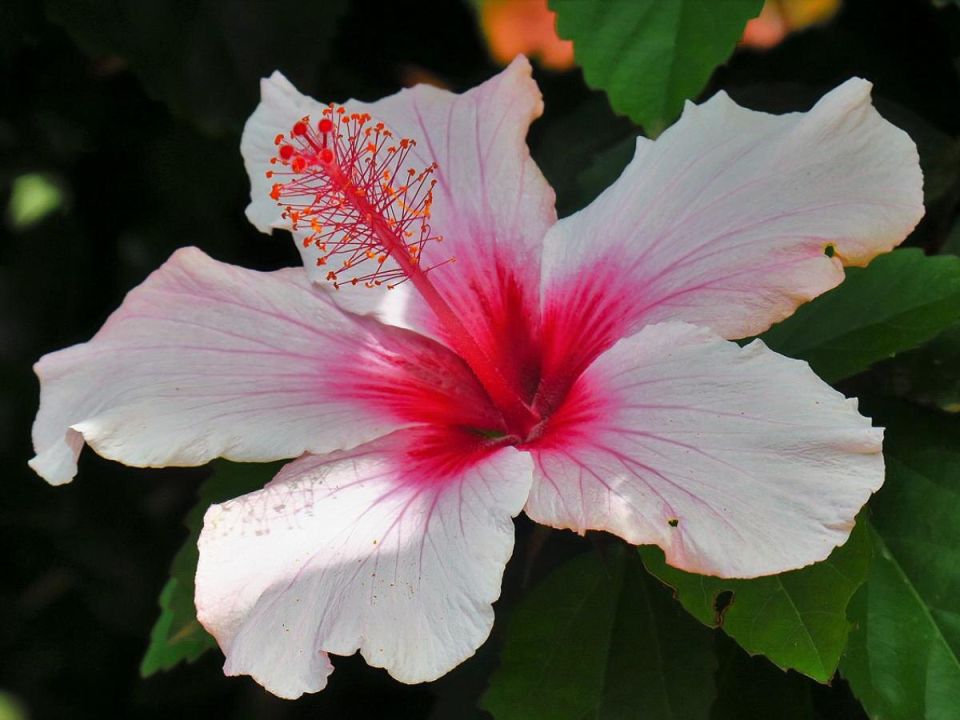 ����� ��� ��������� ����: ��������� �������� ��� ������ ����