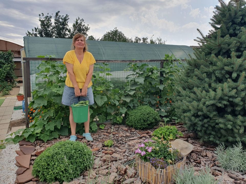 ������ ��� ������: ����������� ����� ��� �������� ������