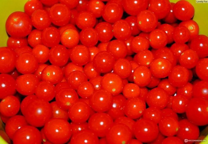 ������ �������: ��� ������� ������� ��������� ��� ������ ����