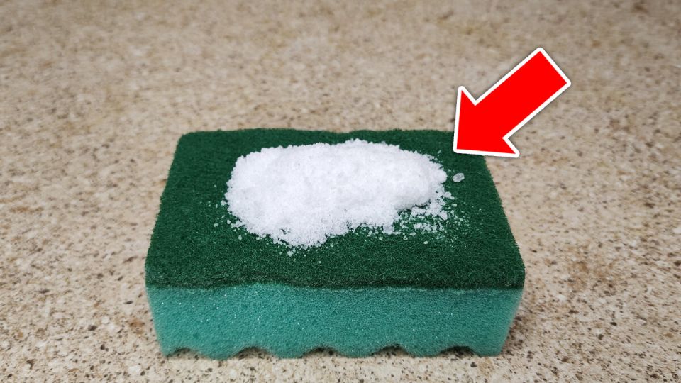 ������� ������� �������� � ����� � �������, ������� ������������� ��������