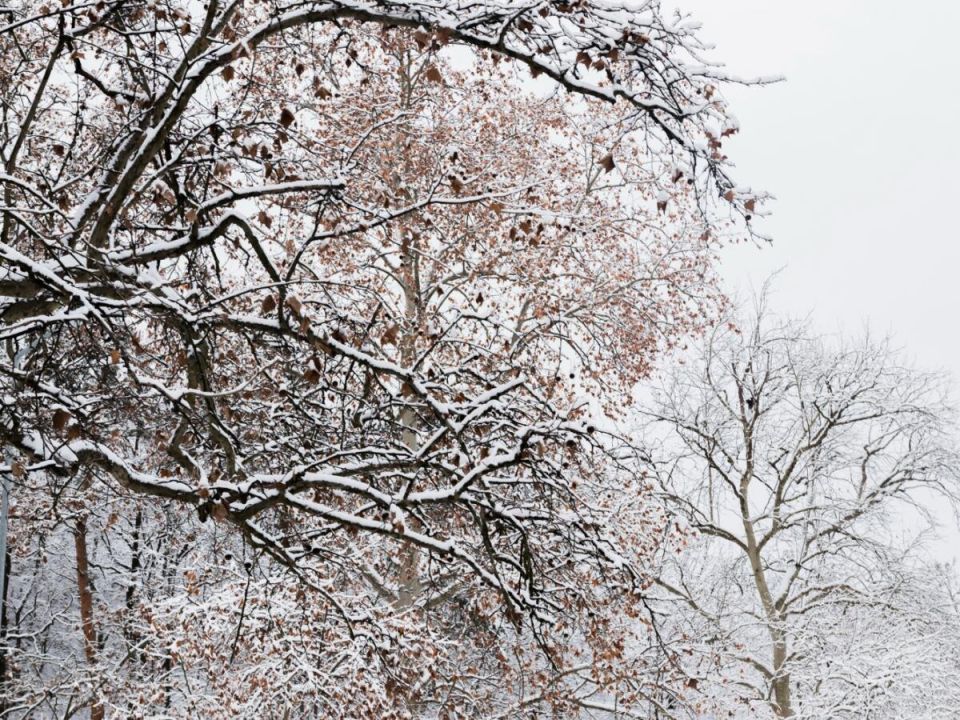 ��� �������� ������� ��� �� ������� ������� ����� � ��������� �������� �����