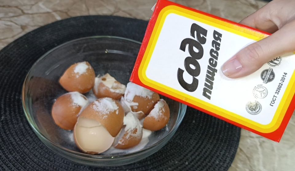 Как простые отходы превращаются в пользу для дома и сада