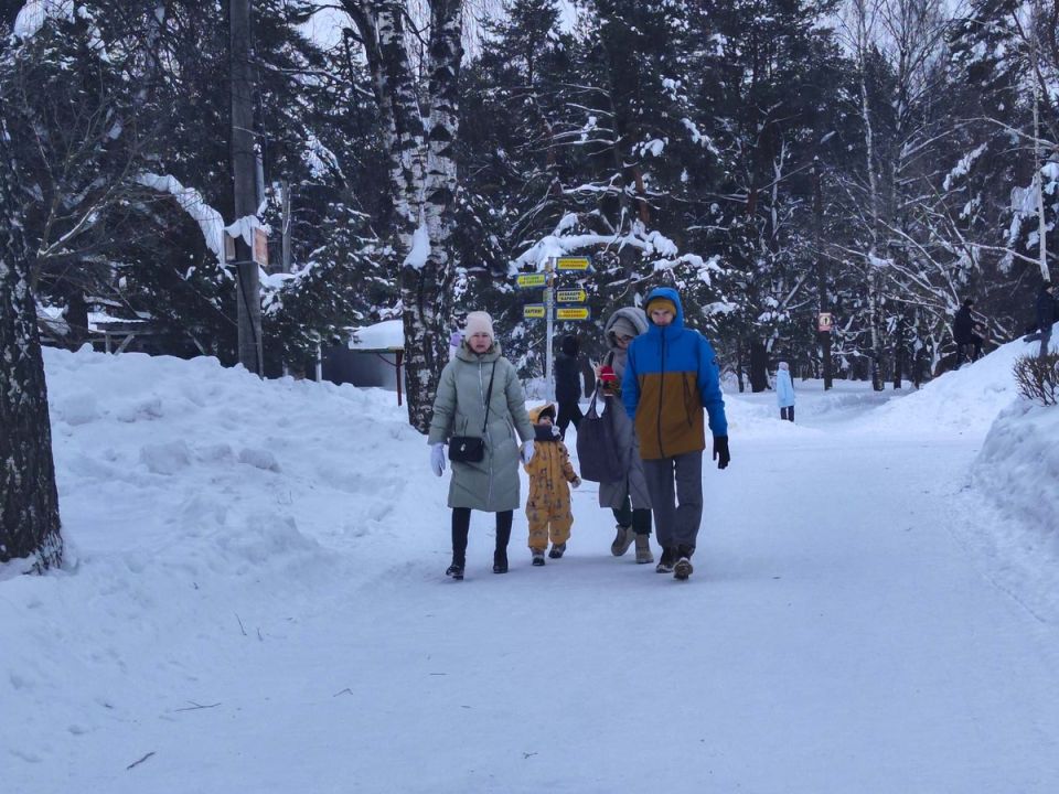 Как изменятся социальные выплаты: индексация в начале февраля 2026 года
