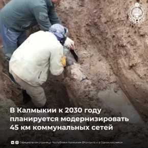    2030    45          