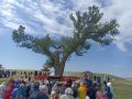 Сегодня монахи Центрального хурула Золотая обитель Будды Шакьямуни проводят у Одинокого тополя традиционный обряд азр тклн