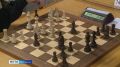 Сегодня в Элисте состоится турнир по шахматам, посвященный Дню защиты детей