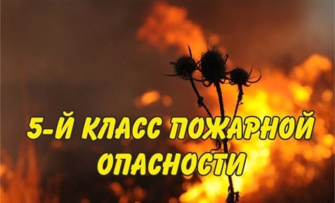   ,    03 ,    04     5      (, , ),   - ...