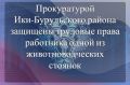 Прокуратурой Ики-Бурульского района в рамках надзорных мероприятий выявлен факт осуществления трудовой деятельности в период с сентября 2022 года по октябрь 2024 года на одной из животноводческих стоянок работником без...