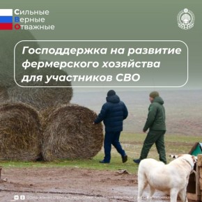 С этого года участники СВО – мобилизованные, военнослужащие по контракту, добровольцы и ветераны специальной военной операции – могут получить государственную поддержку на запуск или развитие своего дела в сельском хозяйстве