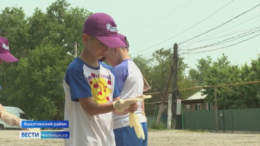 В сельской школе запустили инициативу по сбору пластиковых крышек