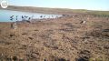 Приоткрывая заповедные двери…