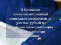 В Калмыкии сельскохозяйственный кооператив оштрафован на 500 тыс
