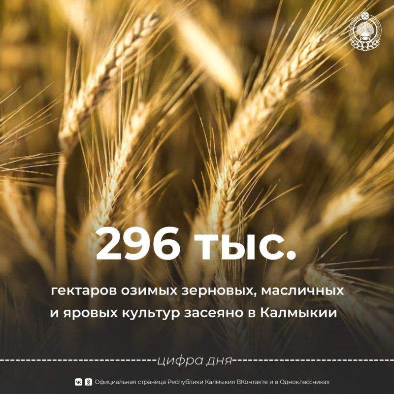       !          - ,     241,4 