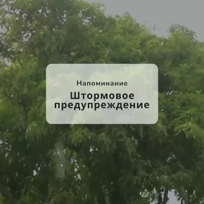  .   &quot; &quot;,    12:30  13:30     6 ,      ,     ,       ...