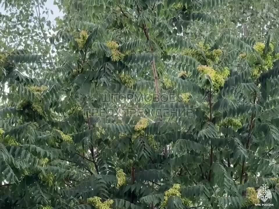  .    , ,    04         :  ,     ,   ...