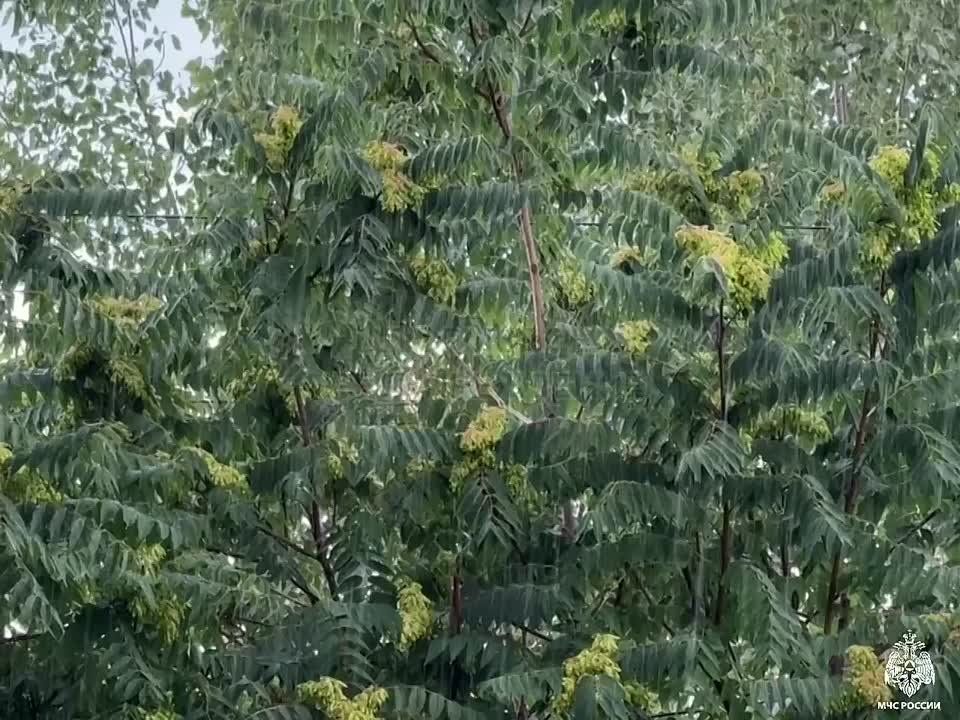  .    ѻ, ,    4 ,      ,     ,        20-25   