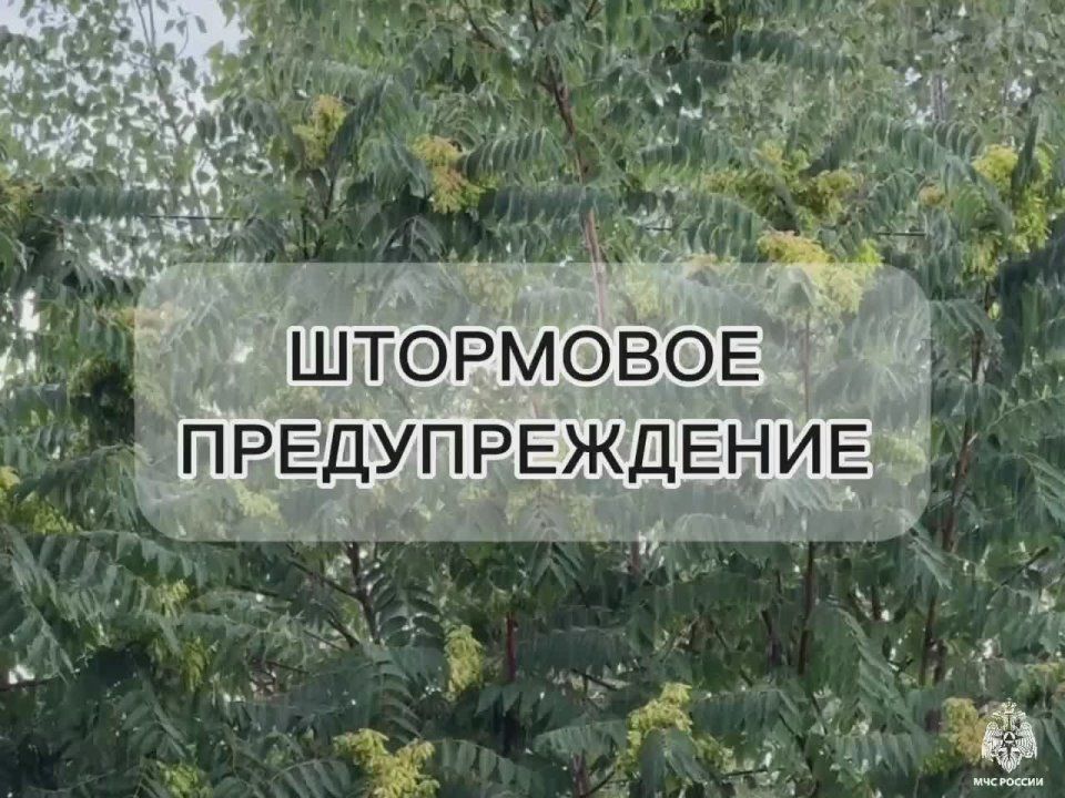  .    ѻ,    4 ,   ,    5       ,     ,     ...
