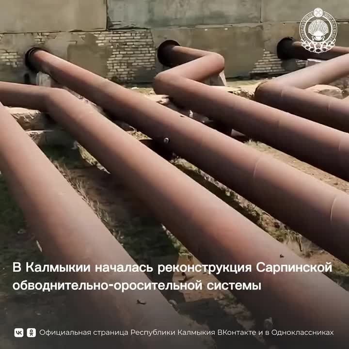       - ,          