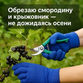    :         