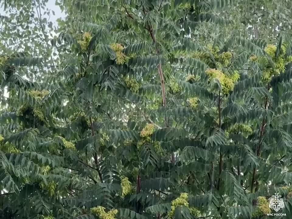  .    ,    13 ,      ,     ,        20-23   