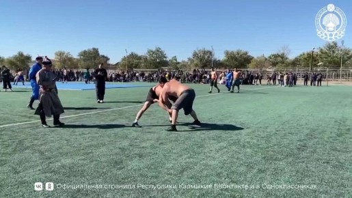     ,  55- 